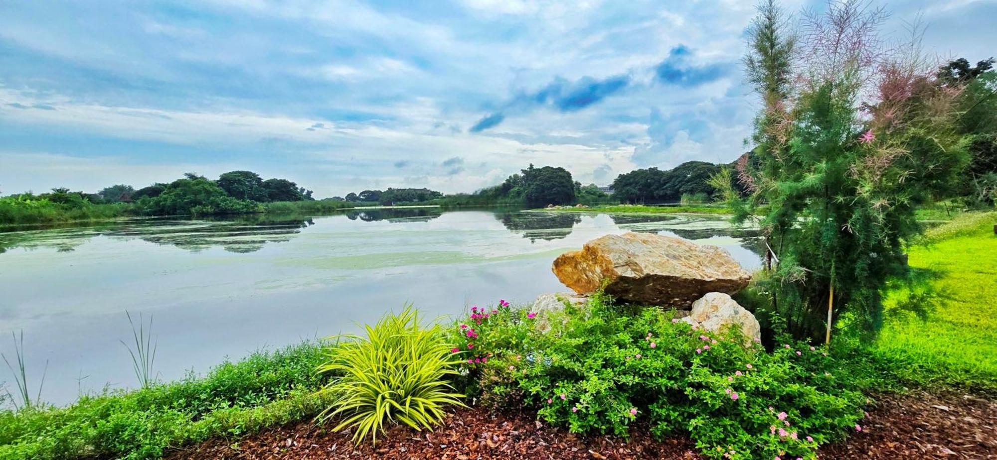 Tiny Island * กรุงเทพมหานคร
